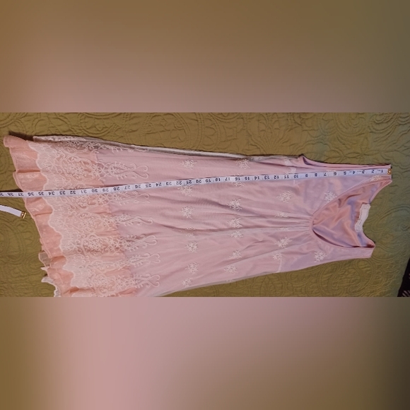 A'Reve Anthropologie light pink layered lace sleeveless bow back dress Large - Picture 2 of 9